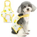 ZUNEA 犬用 生理パンツ 女の子 小型犬 オムツパンツ サスペンダー付き 可愛い いちご柄 月経 発情期用 便利 おむつカバー 柔らかい 雌犬 猫 ペットドッグウェア 尿失禁対策 介護用 衛生 し