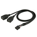 Cablecc によって10ピンマザーボード雌ヘッダにデュアルUSB 2.0雌アダプターケーブル50センチメートル(2)