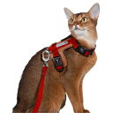 Lucky Friends 抜けない 猫 ハーネス リード付き 散歩用 サイズ調節可能 抜けにくい 簡単装着 猫用 リードセット (レッド)