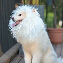 犬のハロウィンコスチューム ライオンに変身 ウィッグ 犬コスチューム 犬用 コスプレ 帽子 大型犬 中型犬 小型犬 変装グッズ ペット服 クリスマス 誕生日 パ...