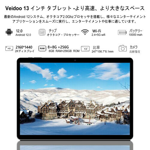 Veidoo 13 インチ Android タブレット、2K 2160x1440FHD スクリーン、8+8GB RAM 256GB ROM 2TB 拡張、オクタコアプロセッサ、デュアル SIM カード 4G LTE タブレット 2.4G/5G WiFi、10000 mAh バッテリー