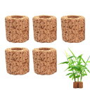 KDSSYFT 水生植物固定リング 水草固定リング 内径サイズ約1.2cm 水草 おもり 水槽の植物ホルダー 水草の固定 水槽の装飾 (5個セット)