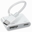 USB Type-C HDMI変換アダプタ(2025高機能版) 4K映像出力 タイプ C HDMI 変換アダプタ+タイプC PD100W 急速充電ポート 2in...