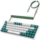 T8 有線 65% メカニカルゲーミングキーボード RGB LED バックライト付き 防衝突 TKL 低ノイズ コイルケーブル type-c ケーブル 日本語取扱説明書 青軸 (green)(2)