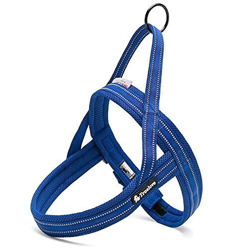 J&C Paradise 装着簡単 犬ハーネス 日本正規店 犬用胴輪 負担がかからない 3M反射 人気 簡単装着 丈夫 スポーツ TRUELOVE (L, ロイヤルブルー)