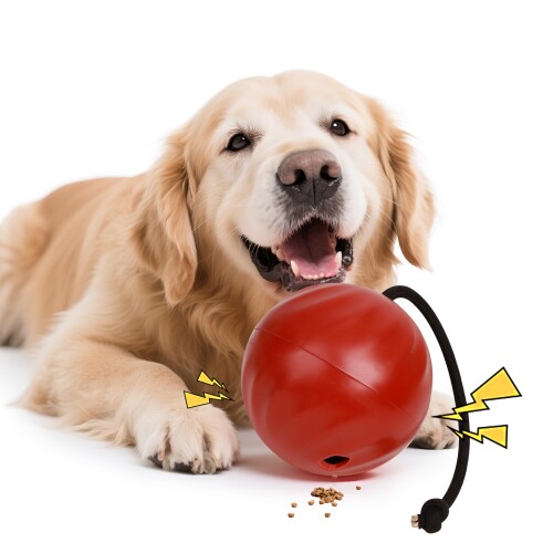 面白い音が出る 犬 おもちゃ ボール 硬い 直径14cm 大きめ 犬用 ボール おもちゃ ぽわぽわ大きな音がでる 勇敢なワンちゃんへ 犬のボール お手入れ簡単 中型犬 大型犬 (レッド餌漏れ)
