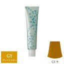 ナプラ アクセスフリーHB グレイシスカラー GY9 グレイイエロー 80g (1剤) 【在庫限り】