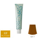 ナプラ アクセスフリーHB グレイシスカラー GY7 グレイイエロー 80g (1剤) 【在庫限り】