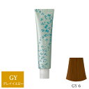 ナプラ アクセスフリーHB グレイシスカラー GY6 グレイイエロー 80g (1剤) 【在庫限り】
