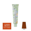 ナプラ ナシードカラー グレイファッション N-6CB カッパーブラウン 80g(第1剤) 【2剤キャンペーン対象商品】