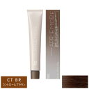 ホーユー プロマスター アプリエミドル CT BR コントロールブラウン 80g