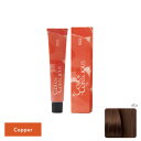 ナンバースリー カラーコンシャス ファッションライン カッパー 6Co 80g (1剤)