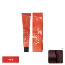 ナンバースリー カラーコンシャス ファッションライン レッド 6R 80g (1剤)