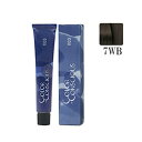 ナンバースリー カラーコンシャス グレイライン ウォーム 7WB 80g (1剤)