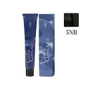 ナンバースリー カラーコンシャス グレイライン ニュートラル 5NB 80g (1剤)