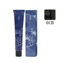 ナンバースリー カラーコンシャス グレイライン クール 6CB 80g (1剤)