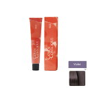 ナンバースリー カラーコンシャス テクスチャカラー Violet 80g (1剤)