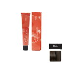 ナンバースリー カラーコンシャス テクスチャカラー BK 80g (1剤)