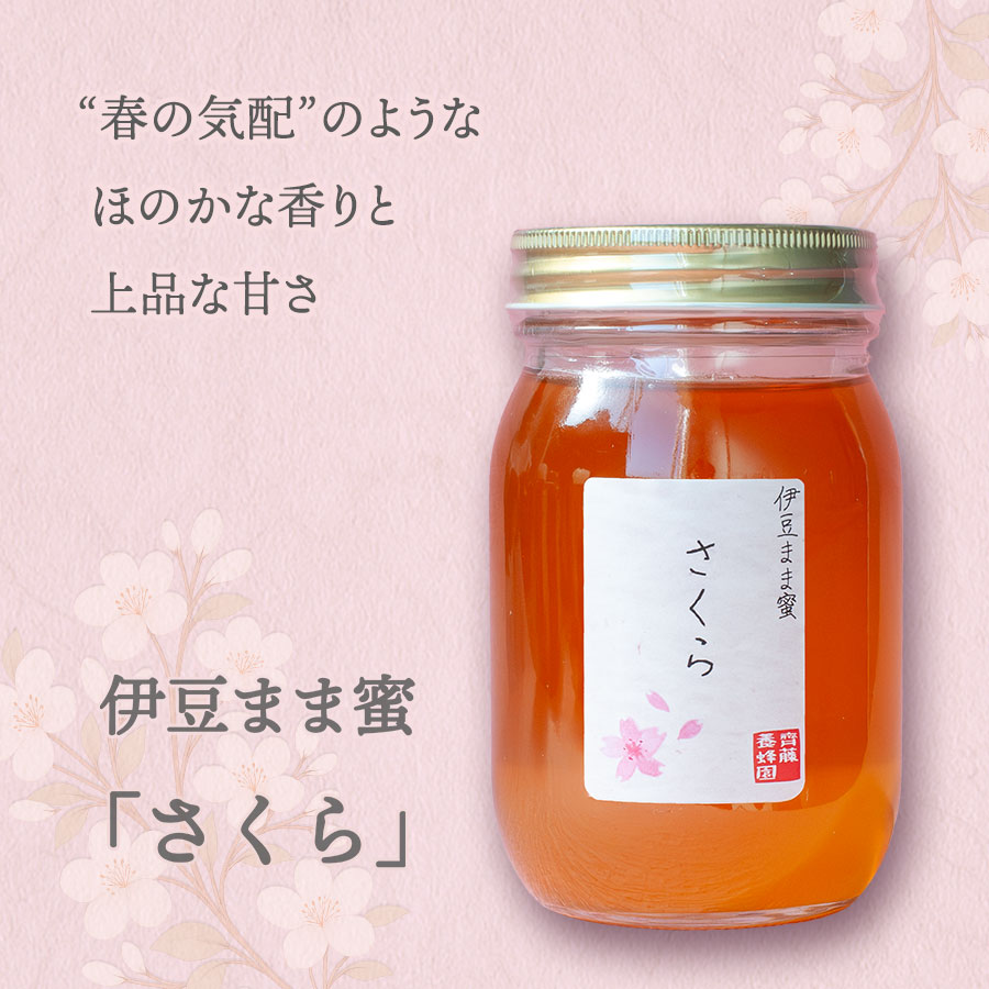 国産はちみつ 伊豆まま蜜 さくら 550g 花蜜日和 非加熱 無添加 齊藤養蜂園 伊豆産 蜂蜜