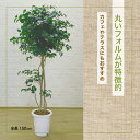 【法人様限定】カメリアツリー 150cm (椿 ツバキ 花 人工 観葉植物 インテリア フェイクグリーン おしゃれ 1.5m) #05(3)