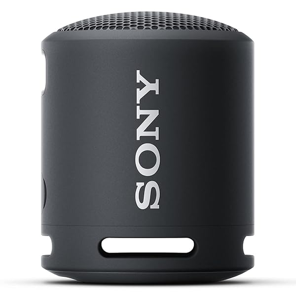 ソニー(SONY) ポータブ�