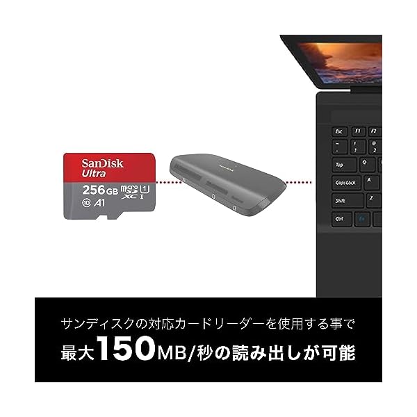 Comastoricの【 サンディスク 正規品 】 SanDisk microSD カード 256GB UHS-I U1 Class10 Nintendo Switch メーカー動作確｜アングル2