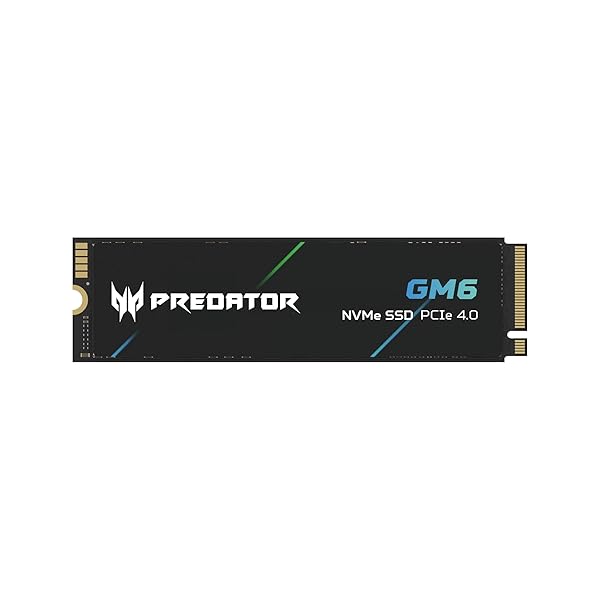 Acer Predator M.2 SSD 2TB GM6 NVMe2.0 2280 PCIe Gen4×4 超高速(最大読み取り：7200MB/s、最大書き込み：6200MB