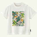 【75%OFF】《コンビミニ》イージーケア速乾半袖BIGTシャツ(ジャングル) : 男の子 女の子 80cm 90cm 100cm 110cm 120cm | 服 ベビー 子供 子ども こども キッズ トップス ティーシャツ ティシャツ 春夏 夏服 夏 速乾 おしゃれ uvカット【outlet】【top】