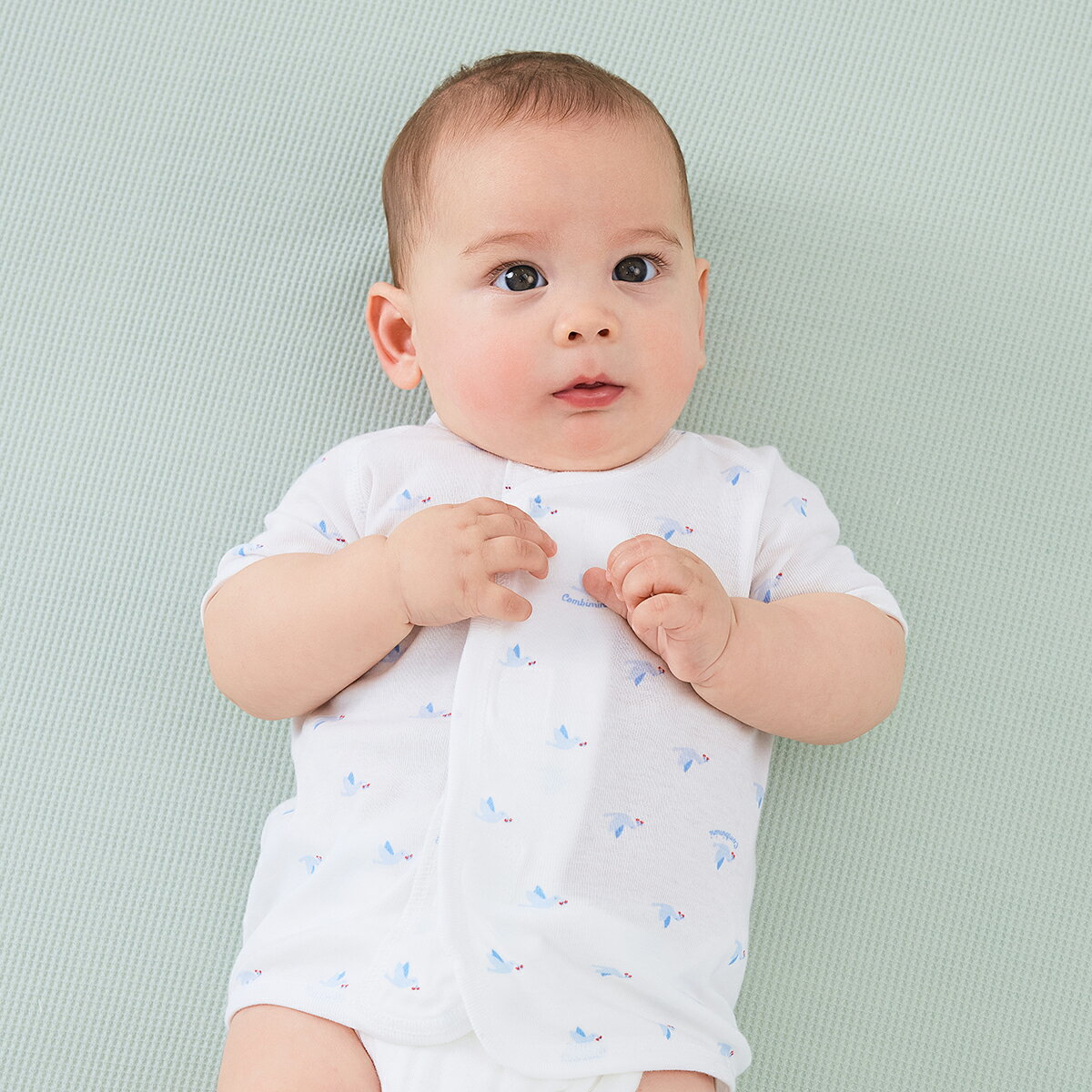 ��30%OFF�ۡԥ���ӥߥˡե�󥿥å�ûȩ��ʥȥ�� : �ˤλ� ���λ� 50cm 60cm 70cm | �֤���� �� �٥ӡ��� ������ �л����� �л��ˤ� �֥��� �٥ӡ� �˻� ���� ������ ��100 �ౡ �ղơڥץ쥼��ȡۡڿ�������