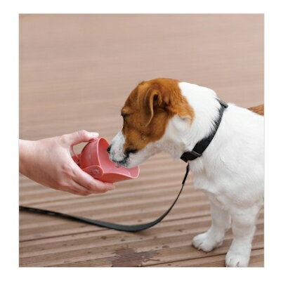 �ڸ�ǭ�ѡۡ����Ǥ����ܥȥ롡����å׷����ԥ󥯡��ڤ��гݤ����å��ۤ�������ο���ߡ��ޥʡ������������ʥ��å���