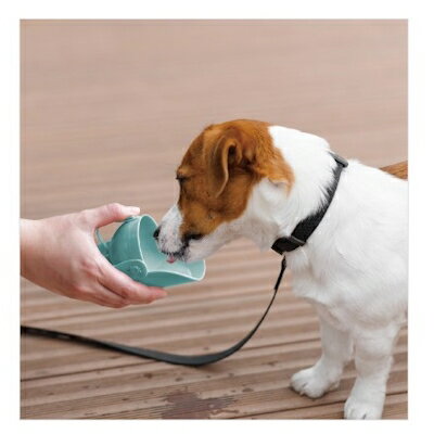 �ɥ����ޥ�ϥ䥷�����Ǥ����ܥȥ륭��å׷����֥롼�ڸ���ǭ�������⡡���Ф���������ߡ��ޥʡ��ۥڥåȥܥȥ�˼��Ĥ�������������ʿ���ߡ��ޥʡ�������2WAY�����ס�