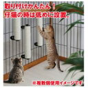 キャットわくわくポール400　アニーコーラス【猫用おもちゃ・爪とぎ】キャットケージに取り付ける爪とぎポール！運動不足、ストレス解消におすすめです。 2