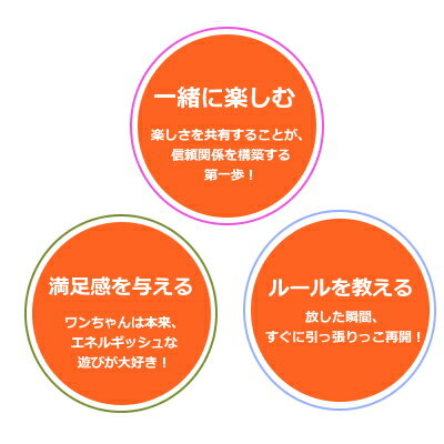 �ȥ饹�ȥߡ��������ס�����������Ĺ��70cm���ڸ��ѡ�������㡡���ߥ�˥��������ۥ������ο���ط��򿼤�뤪������