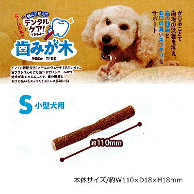 歯みが木　S　3本入り　小型犬用【犬おもちゃ　デンタル】インドの民間療法で用いられ歯ブラシ代わりにも使われているニームの木 2