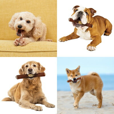 歯みが木　S　3本入り　小型犬用【犬おもちゃ　デンタル】インドの民間療法で用いられ歯ブラシ代わりにも使われているニームの木