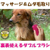 ������С��֥饷�����֥롡�ԥ󥯡ڸ�ǭ�ѥ֥饷������Ӽ��ۡ��ڥå��Ѳ�Ŭ�֥饷Ĺ�ӡ�û�Ӥ˻Ȥ���2WAY�֥饷��