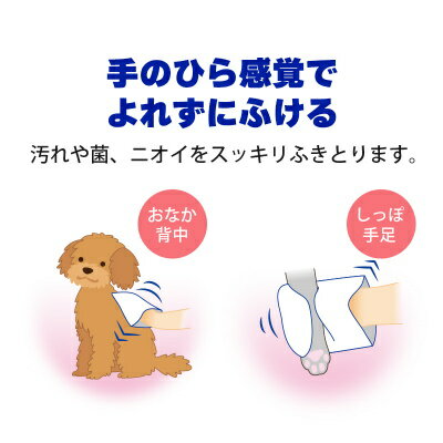 �ڥåȥ��쥤���ߥȥ�Ǥ餯�餯�����ס������롡ǭ�ѡ�15�����ꡡ�饤����ڥܥǥ�����������Ϥ�����ۼ�ΤҤ鴶�ФǤ��ä���դ��롪��ξ�̻Ȥ��Ʒк�Ū����