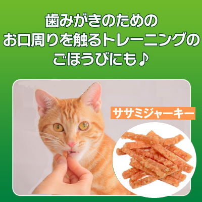 PETKISS　ネコちゃんの歯みがきおやつ　ササミジャーキー　20g　【ライオン　国産 おやつ ガム オーラルケアトリーツ】猫の好きな素材系おやつを噛むことで歯みがき。 2