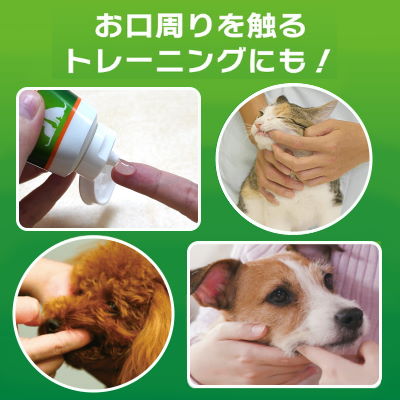 ライオン　PETKISS　歯みがきジェル　犬猫用　リーフの香り　40g　【デンタルケア　ペットキッス】リーフの香りで口臭スッキリ！