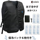 【楽天ランキング受賞】 保冷剤6本入り の お得セット 大進 ひんやり 水冷服 水冷ベスト フリーサイズ 大きいサイズ モバイルバッテリーセット 暑さ対策 冷却ベスト 冷感 服 空調ベスト クールベスト 作業服 作業着 アウトドア バイク 釣り 農作業 メンズ 夏 レディース