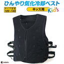 【 熱中症対策 子供用 】大進 気化熱 ベスト Kid's 子供用 水 クール ベスト Tシャツ シャツ 気化冷却ベスト 涼しい 暑さ対策 冷却ベスト 冷感ベスト 空調ベスト クールベスト アウトドア 冷蔵 暑さ対策グッズ 屋外 こども 暑さ対策 ベスト 小学生