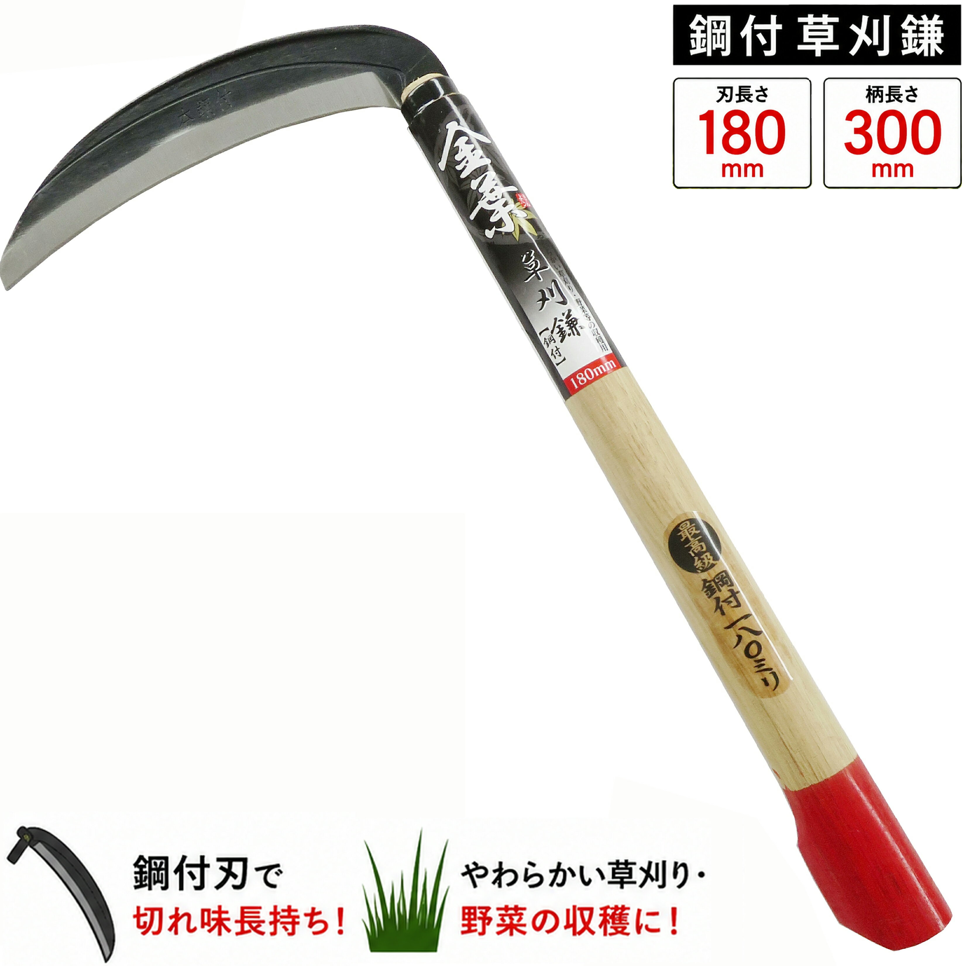 【楽天ランキング受賞】 大進 金葉 鋼付草刈鎌 180MM 草刈り 草取り 道具 クサカリ くさかり 草むしり 草ムシリ 草刈り鎌 園芸 ガーデニング 農業 女性 庭 の 農作業 家庭菜園 用具 工具 草取り 木柄 軽量 女性 カマ かま 手動草刈り 便利 切れる 雑草抜きすきま