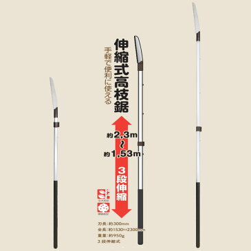 送料無料 伸縮高枝鋸 3段 サック付 大進 園芸 高枝切りのこぎり 農業 女性 庭 農作業 家庭菜園 用具 工具 ノコ のこ 高枝 剪定鋏 伸縮 高枝 高枝切狭 枝きりばさみ たかえだきりはさみ 剪定鋏 高枝 高枝切狭 枝きりばさみ 剪定 高枝切り 伸縮