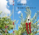 送料無料 高枝切狭 軽量 標準刃 + ステンレス剪定鋏 大進 高枝切りバサミ 落とさない 枝切ばさみ 庭木 剪定鋏 超 軽量 伸縮 高枝 はさみ 高枝切狭 枝き...