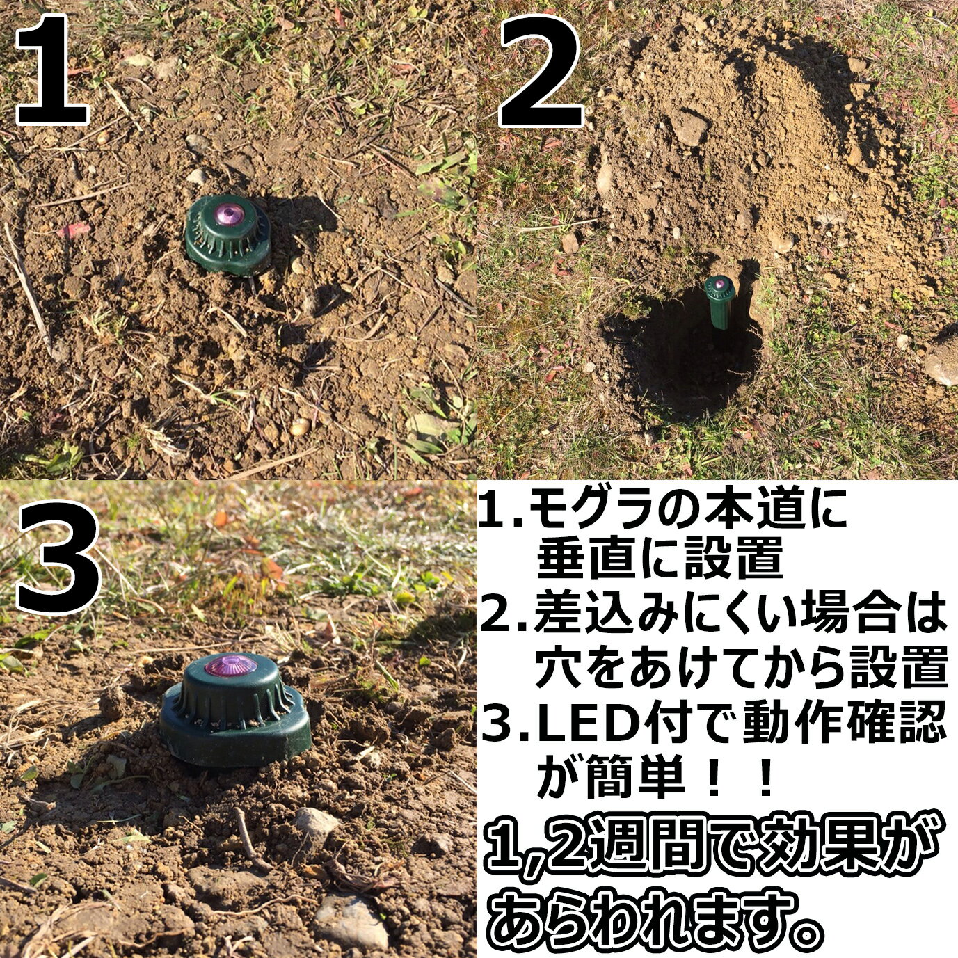 待望の２本セット モグラ撃退器 2個セット 大進 話題の人気 土竜 忌避 駆除 防獣 もぐら 畑