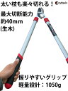 comconstore:10000222のサンプル画像3