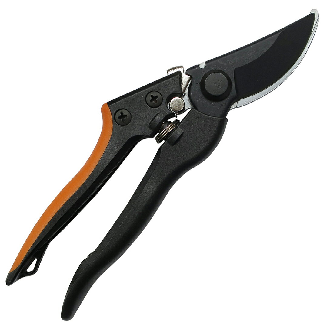 ��� ���饹�ե����С��� DS-DF001 ������ ����Ф��� ��ݥϥ��� ����Ϥ��� ���ڤ�Ф��� ������ �����ڤ�Х��� ���� ��� PRO�� ��� �����ǥ˥� ���� ���� �� ����� �����ڱ� �Ѷ� ���� ���� ���ڤ� ���� �ߺ� �̼� ���� ������ �Ҽ� ������ ����Ƥ��Ф��� ����