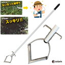 送料無料 大進 雑草削る君 シェーバー 1200mm柄 草取り 草刈り 鍬 道具 種類 立ったままレーキ 草刈 庭 の クサカリ 草刈り 際刈り 軽量 草取り器 長柄 お手軽 鎌 農具 草削り 草取り 根こそぎ 草むしり 対策 便利 雑草対策 除草 農業 軽い 安全 畑 あぜ 道 公園 すきま