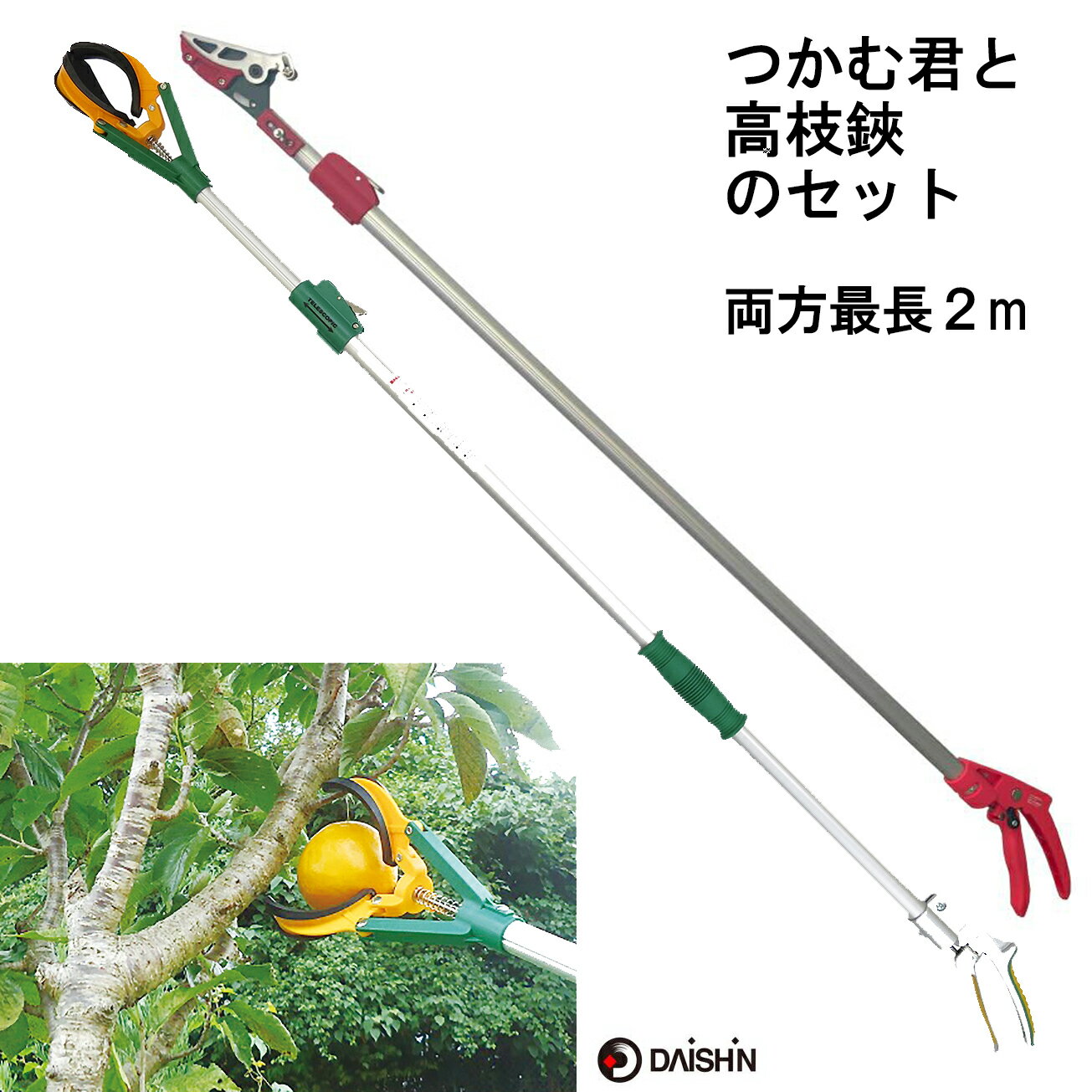 【 つかむ君と高枝切りバサミのセット 両方最長2m 】 大進 つかむ君 高所 マジックハンド ゴミ拾い 軽量 農業 届かない 高い 長い 果樹 摘果 キャッチ 高所 つかみ つかむ 手の届かない 果実の収穫 栗 柿 ライト交換 電球交換 高所作業 伸縮タイプ つかみ棒 伸縮 長い