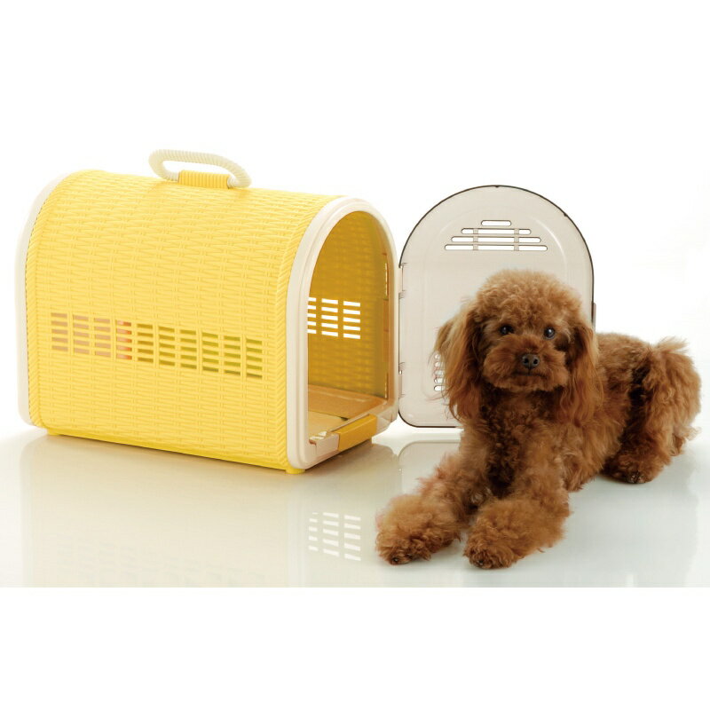 ���¹�͢���ۡڥ����ȥ�å��ʡۥ����� �ۤ���Ĵ����꡼ 44 ����������å����� ���󥰥�ɥ� ��¦�ɥ� �饿��Ĵ �ɺҥ��å� �ڥå� �Хå� ������ �� ǭ ưʪ